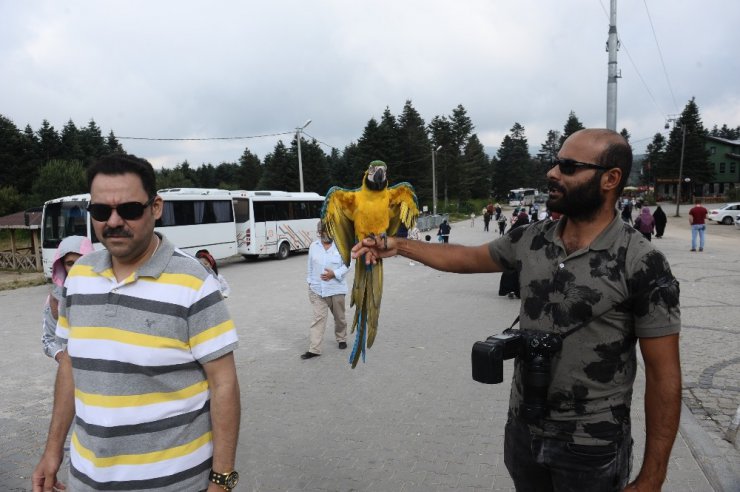 Papağanla fotoğraf çekilmek için sıraya girdiler