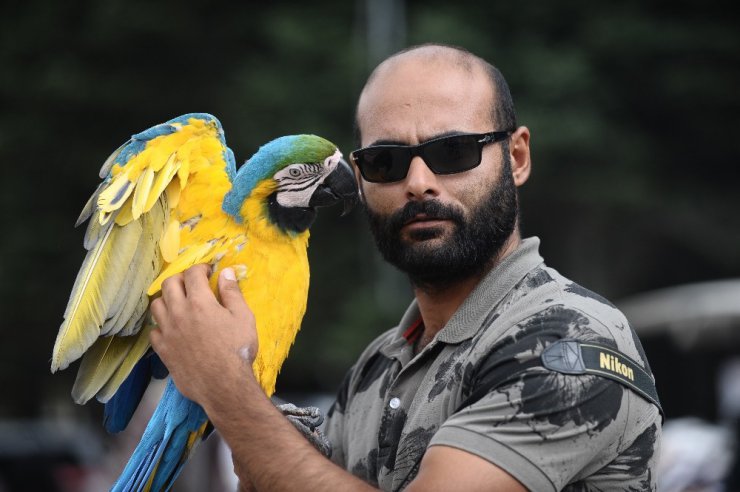 Papağanla fotoğraf çekilmek için sıraya girdiler