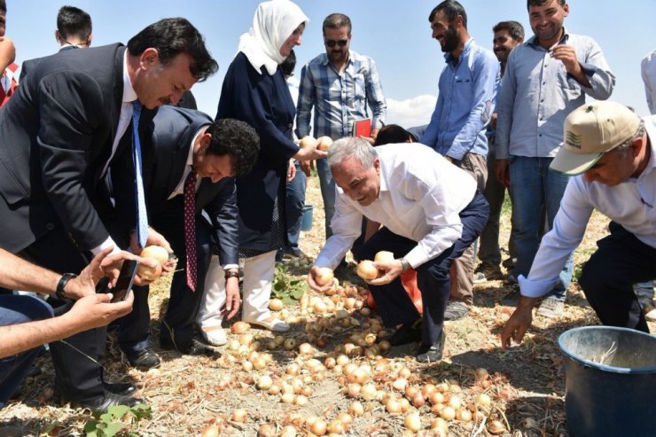 Bakan Fakıbaba, tarım işçileriyle birlikte soğan topladı