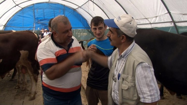 Sultangazi’de kurbanlıklar alıcılarını bekliyor