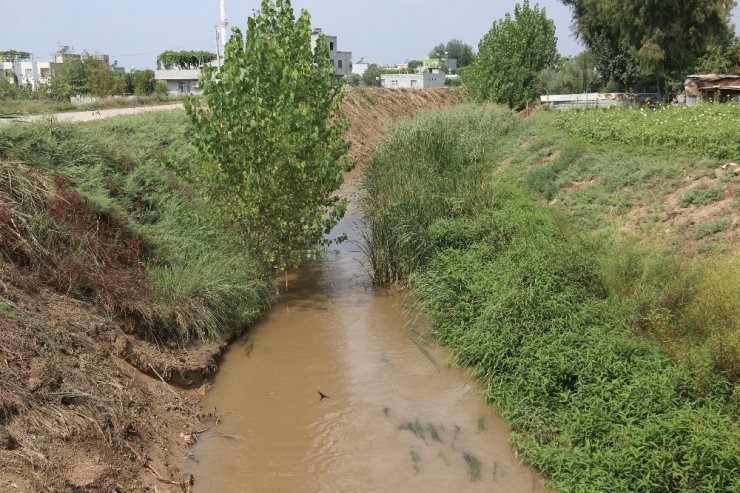 ASKİ’den dere atağı