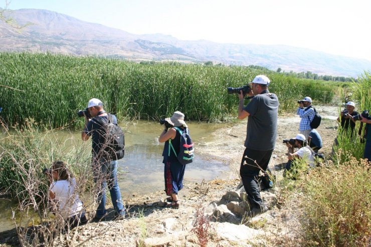 Elazığ’da fotosafari etkinliği