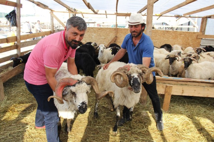 Rıza Baba ve Mesut Komiser alıcılarını bekliyor