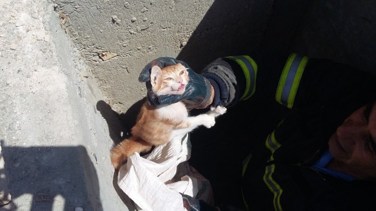 Rögara giren kediyi itfaiye kurtardı
