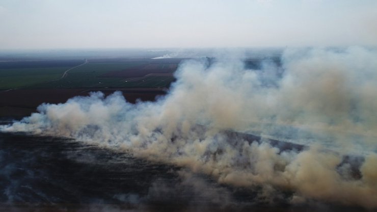 Anız yangınları Adana’yı boğuyor