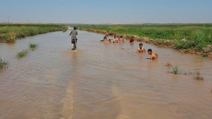 Şanlıurfa’da çocuklar asfaltta yüzüyor
