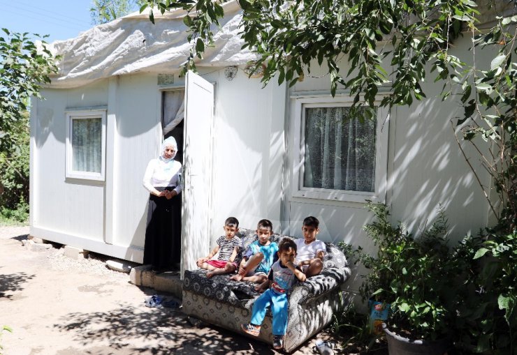 Zeytin ailesi konteynerden kurtuluyor