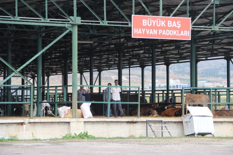 Kurbanlık hayvanların az olması endişelendiriyor