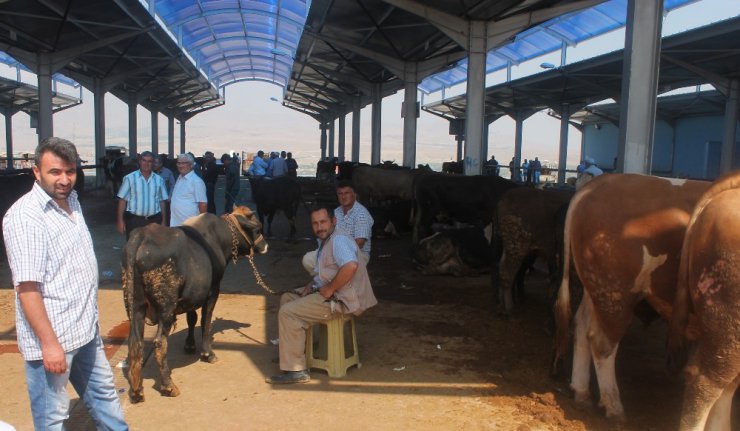 Niğde’de Kurban Pazarı ‘Sinek’ Avlıyor