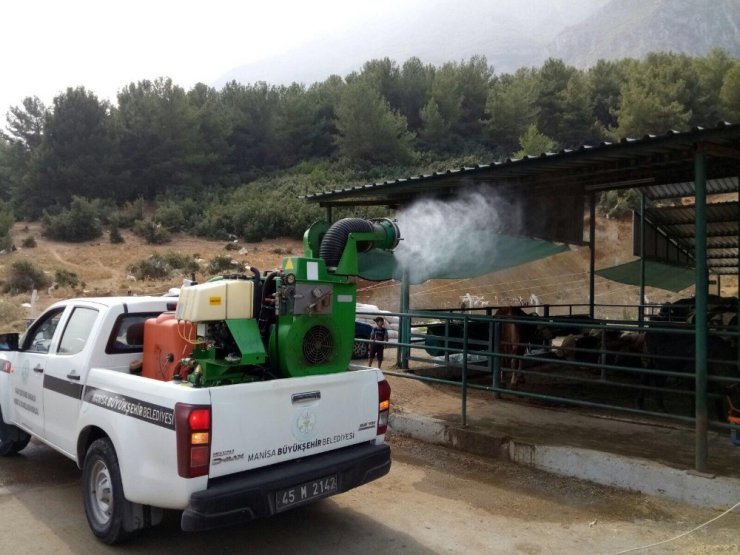 Manisa’da kurban alıcısı da satıcısı da rahat edecek