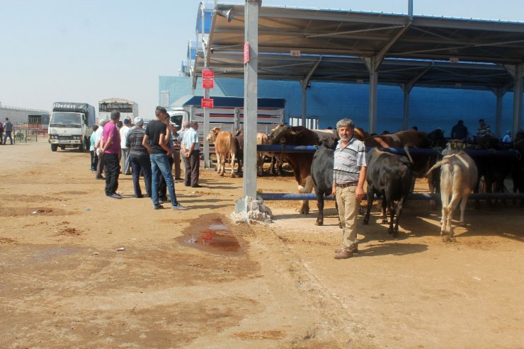 Kurban pazarında sahte para önlemi