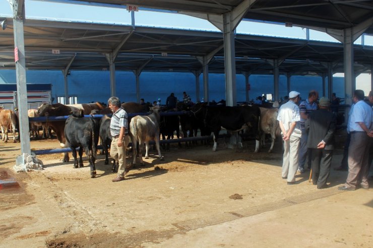 Kurban pazarında sahte para önlemi