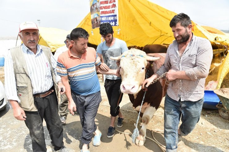 Mamak Kurban Bayramı’na Hazır