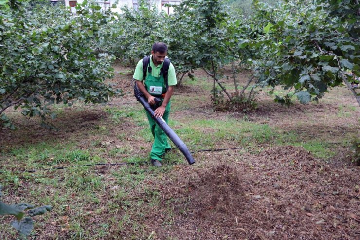 Fındıkta kalite ve verimin artırılmasına yönelik proje