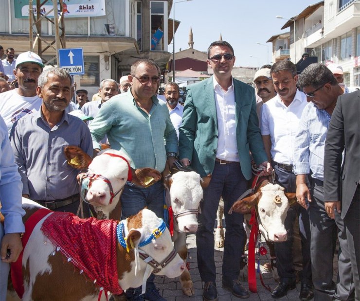 Buzağı güzellik yarışması renkli geçti