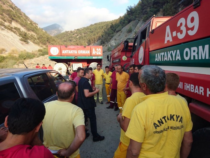 Teröristlerin çıkardığı orman yangınını söndürme çalışmaları sürüyor