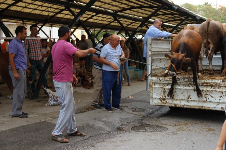 Kurbanda kurallara uymayanlara ceza yağacak