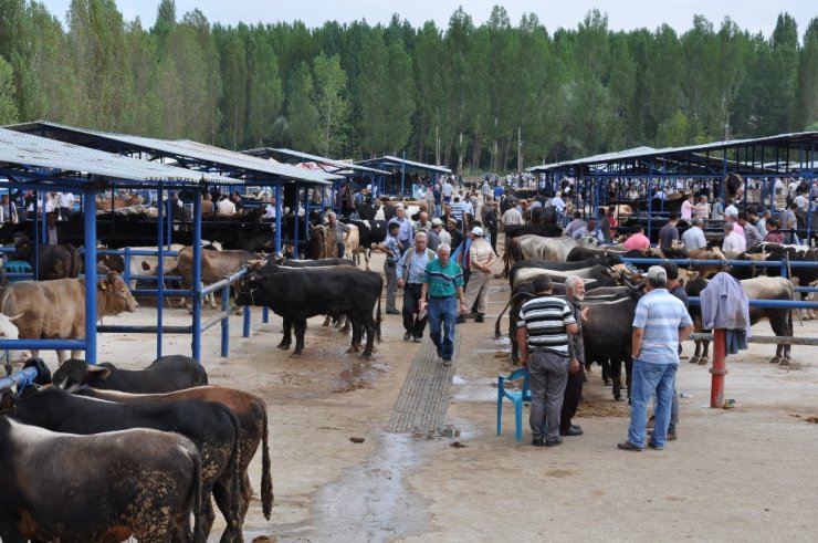 Simav’da kurban pazarı açıldı