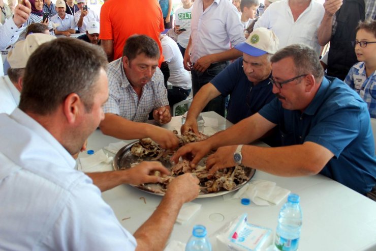 Oğlak yemek için ’kurt’ gibi saldırdılar