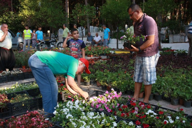 Alanya Belediyesi mezarlıklarda 44 bin 220 adet ücretsiz çiçek dağıtacak