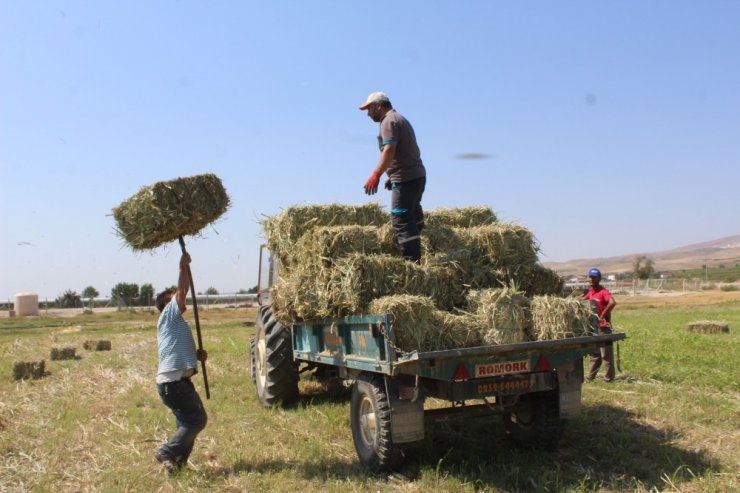 Alaşehir Belediyesi’nden hayvan üreticilerine destek