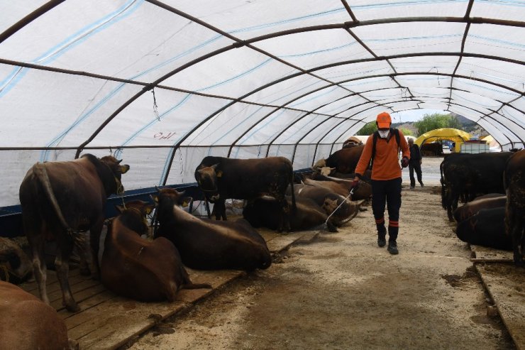 Büyükşehir’den kurbanlık alanlarında ilaçlama