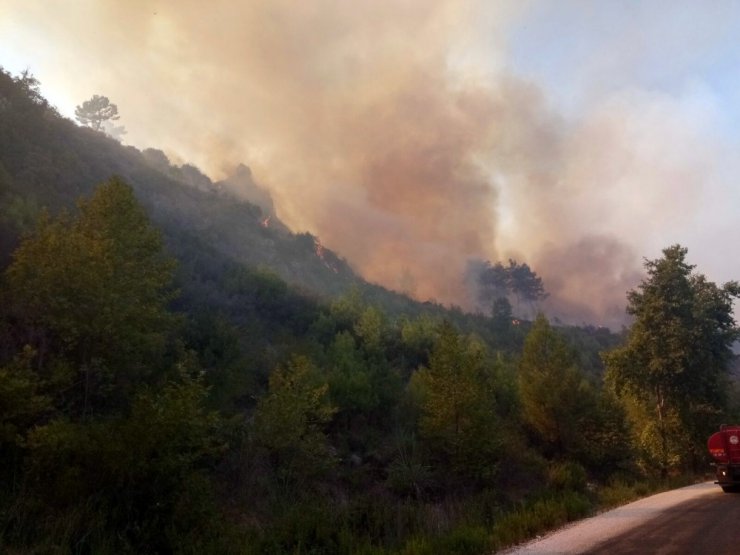 Antalya’da orman yangını