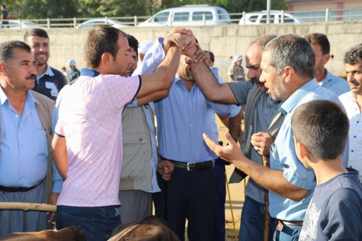 Diyarbakır’da kurbanlıklar görücüye çıktı