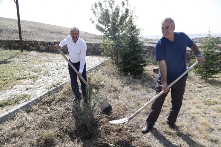 Gölbaşı’nda bayram öncesi 10 bin sarıçam fidanı dağıtılıyor