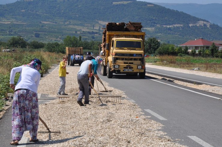 Ayçekirdeğini kurutmak için çevre yolunu kapattılar