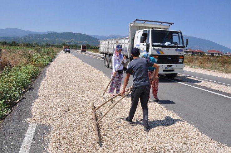 Ayçekirdeğini kurutmak için çevre yolunu kapattılar