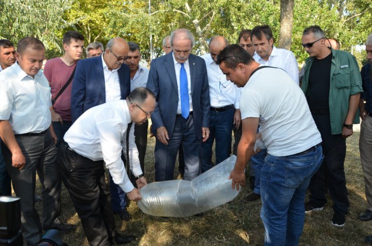 200 bin yavru sazan İznik Gölü ile buluştu