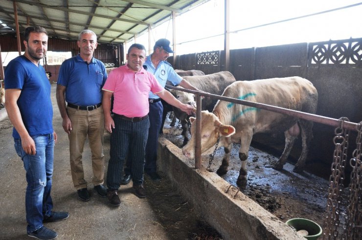 Kartepe’de kurban bayramı denetimi hızlandı