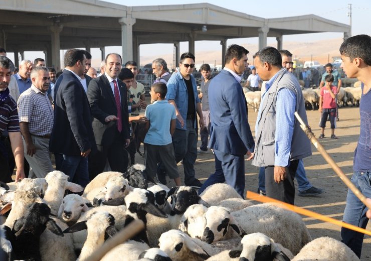 Çiftçi hayvan pazarında satıcıları dinledi