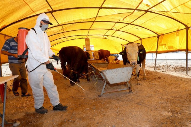 Talas’ta kurban pazar yerleri ilaçlandı