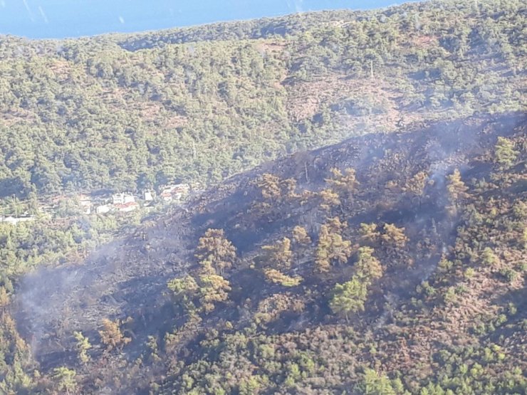 Antalya’da ormanı yangını (1)