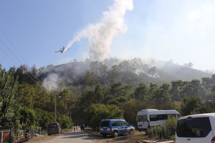 Antalya’daki orman yangını kontrol altına alındı