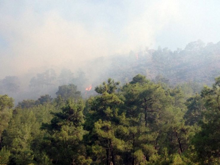 Antalya’da ormanı yangını (1)