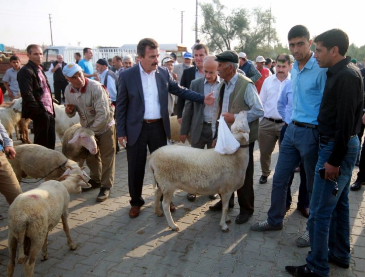 Yenişehir Kurban Bayramı’na hazır