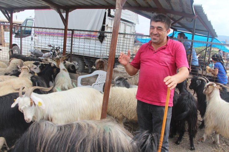 Vezirköprü’de kurban pazarında durgunluk