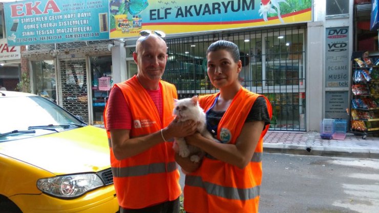 Balkonda kötü şartlarda yaşayan İran kedisi kurtarıldı