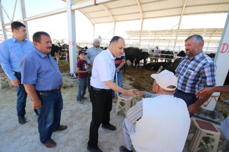 Başkan Özaltun’dan kapalı hayvan pazarı ziyareti