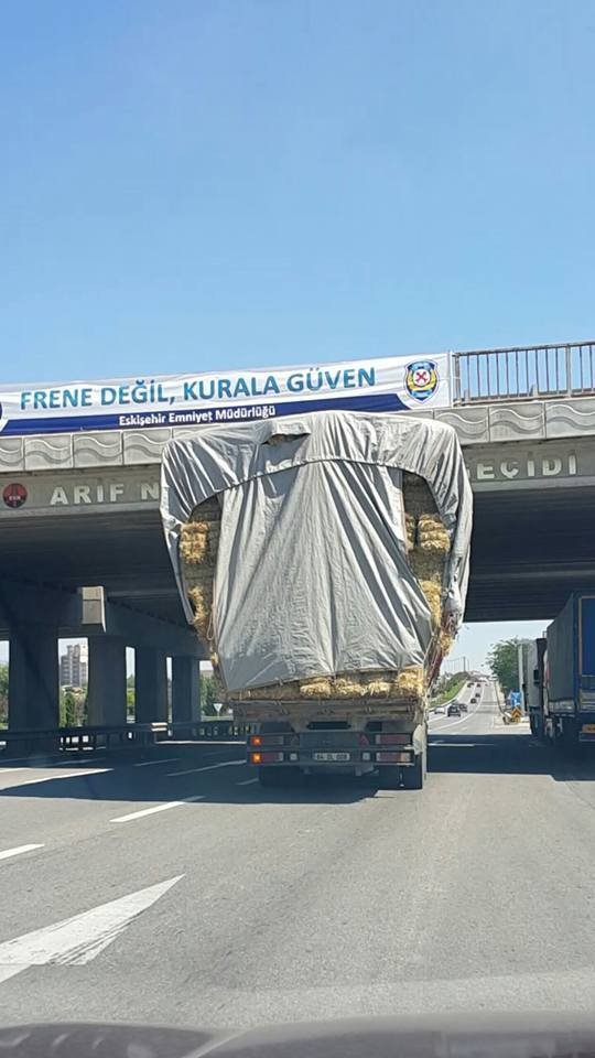 Bu kadar da olmaz