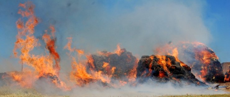 Horasan’da 15 bin balya ot yanarak kül oldu