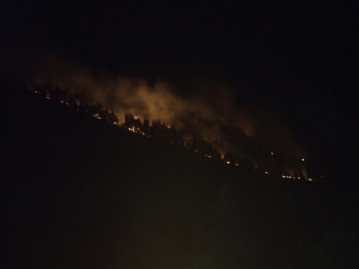 Hatay’da orman yangını