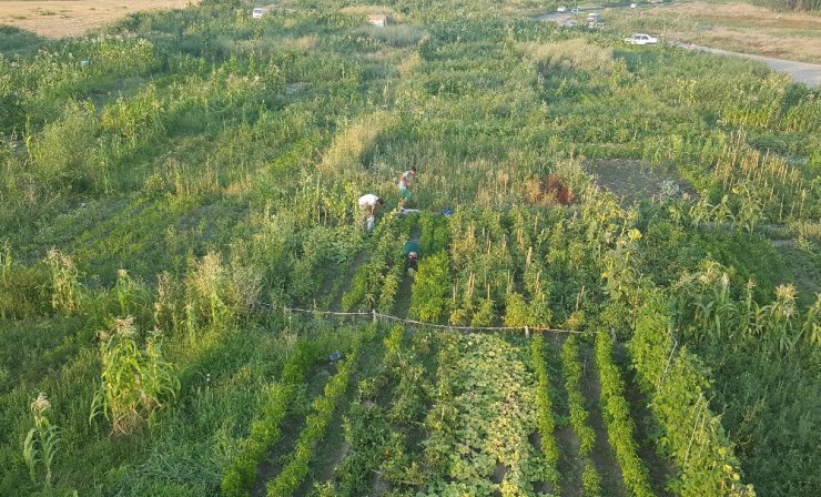 Kayseri Şeker’den çalışanlarına hobi bahçesi