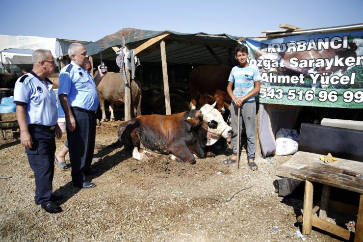 Kurban satış alanları denetimden geçti