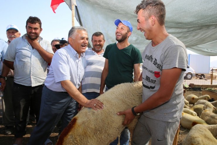 Başkan Büyükkılıç Serkent Kurban Pazarını denetledi