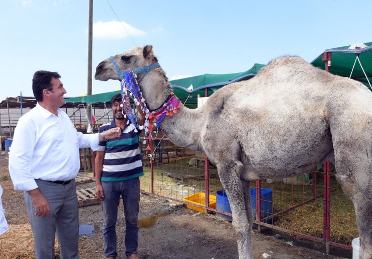 Dündar, kurban pazarlığında arabuluculuk yaptı