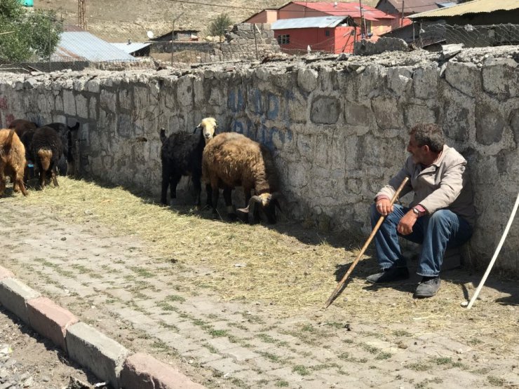 Sarıkamış’ta Hayvan Pazarı’nda durgunluk yaşanıyor